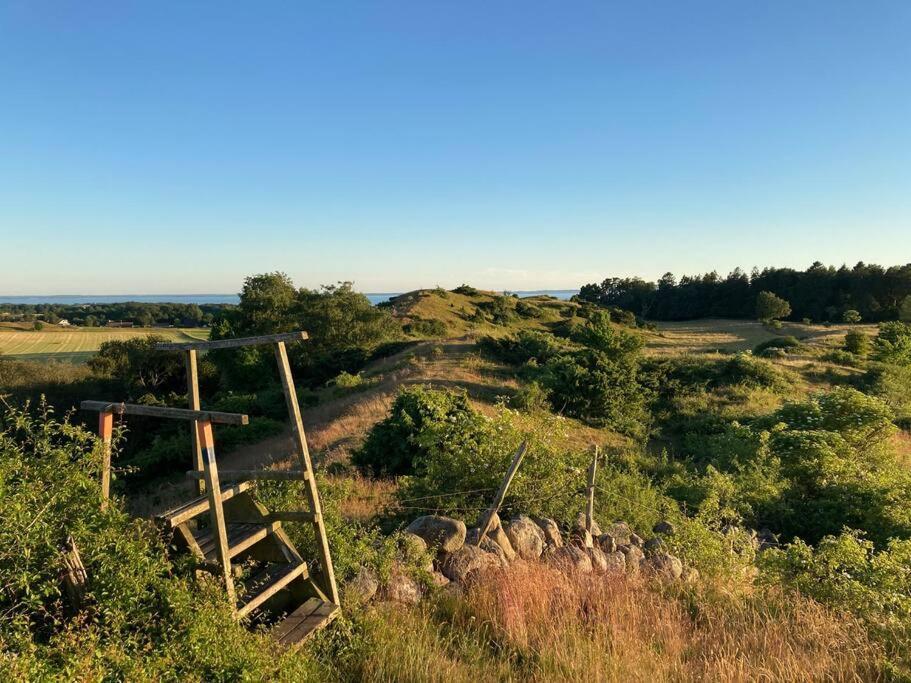 Apartament Fin Laegenhet Mitt Pa Bjaerehalvoen Båstad Zewnętrze zdjęcie